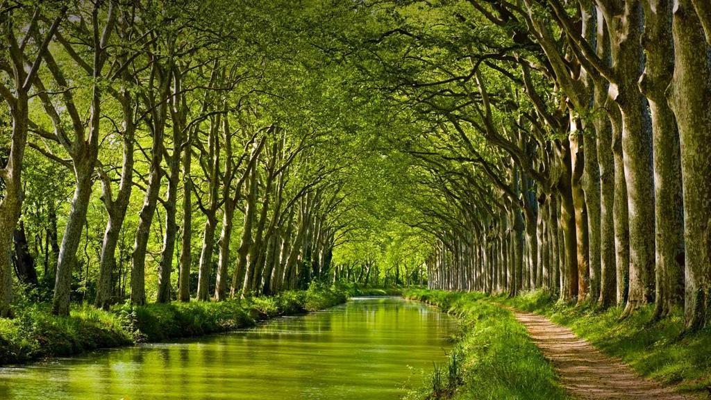 Gite La Chartreuse Du Canal Du Midi Toulouse Exterior photo